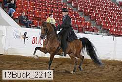 13buck_2212 proof