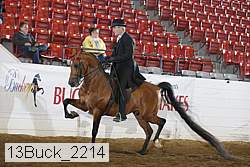 13buck_2214 proof
