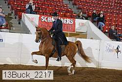 13buck_2217 proof