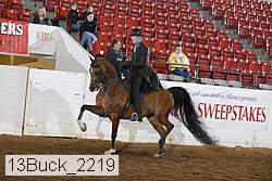13buck_2219 proof