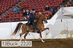 13buck_2220 proof
