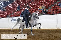 13buck_2221 proof