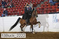13buck_2222 proof