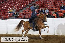 13buck_2223 proof