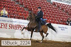 13buck_2224 proof