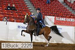 13buck_2225 proof