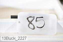 13buck_2227 proof