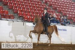 13buck_2228 proof