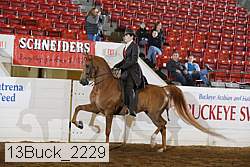 13buck_2229 proof