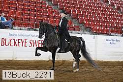 13buck_2231 proof