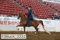 13buck_2232 proof