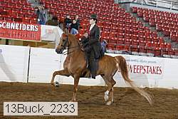 13buck_2233 proof