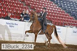 13buck_2234 proof
