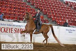 13buck_2235 proof