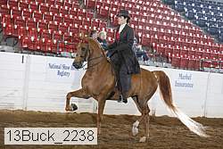 13buck_2238 proof