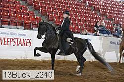 13buck_2240 proof