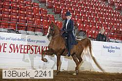 13buck_2241 proof