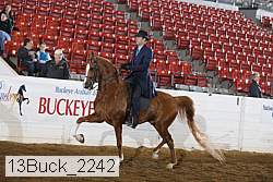 13buck_2242 proof