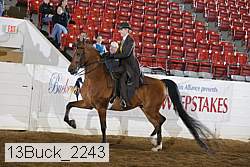13buck_2243 proof
