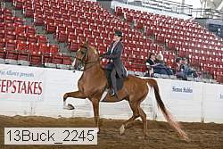 13buck_2245 proof