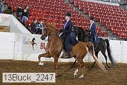 13buck_2247 proof