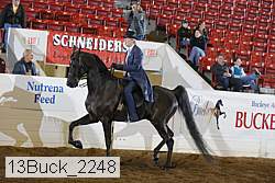 13buck_2248 proof