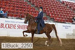 13buck_2250 proof