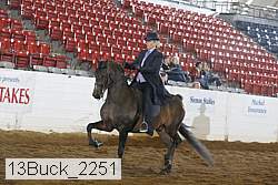 13buck_2251 proof