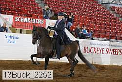 13buck_2252 proof