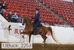 13buck_2253 proof