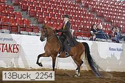 13buck_2254 proof