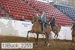 13buck_2255 proof