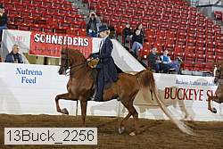 13buck_2256 proof