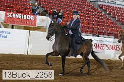 13buck_2258 proof