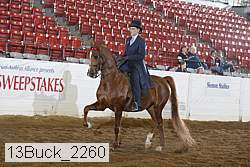 13buck_2260 proof