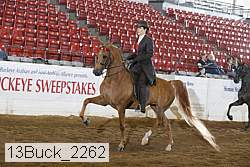 13buck_2262 proof