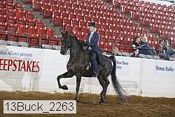 13buck_2263 proof