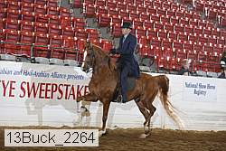 13buck_2264 proof