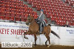 13buck_2265 proof