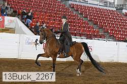 13buck_2267 proof