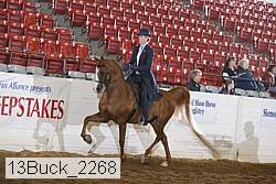 13buck_2268 proof