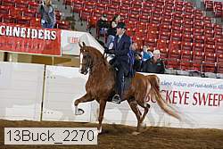 13buck_2270 proof