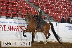 13buck_2271 proof
