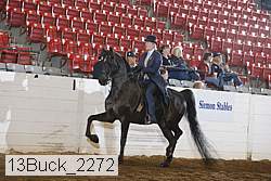 13buck_2272 proof