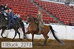 13buck_2273 proof