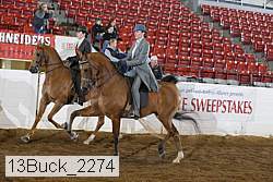 13buck_2274 proof