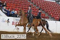 13buck_2276 proof