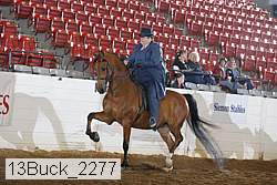 13buck_2277 proof