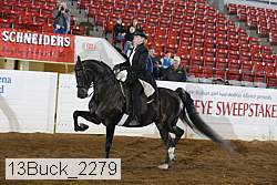 13buck_2279 proof