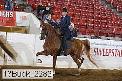 13buck_2282 proof